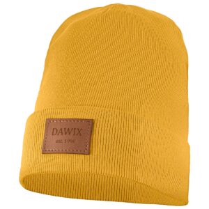 Prążkowana czapka Dawix II